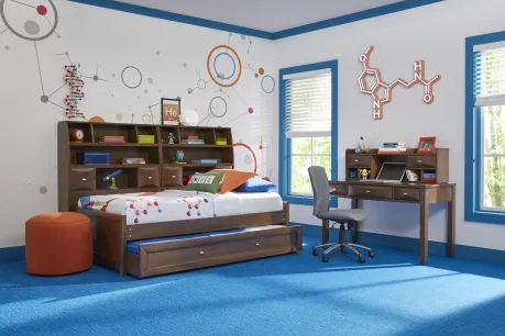 a daybed and desk with storage in a room with a science theme