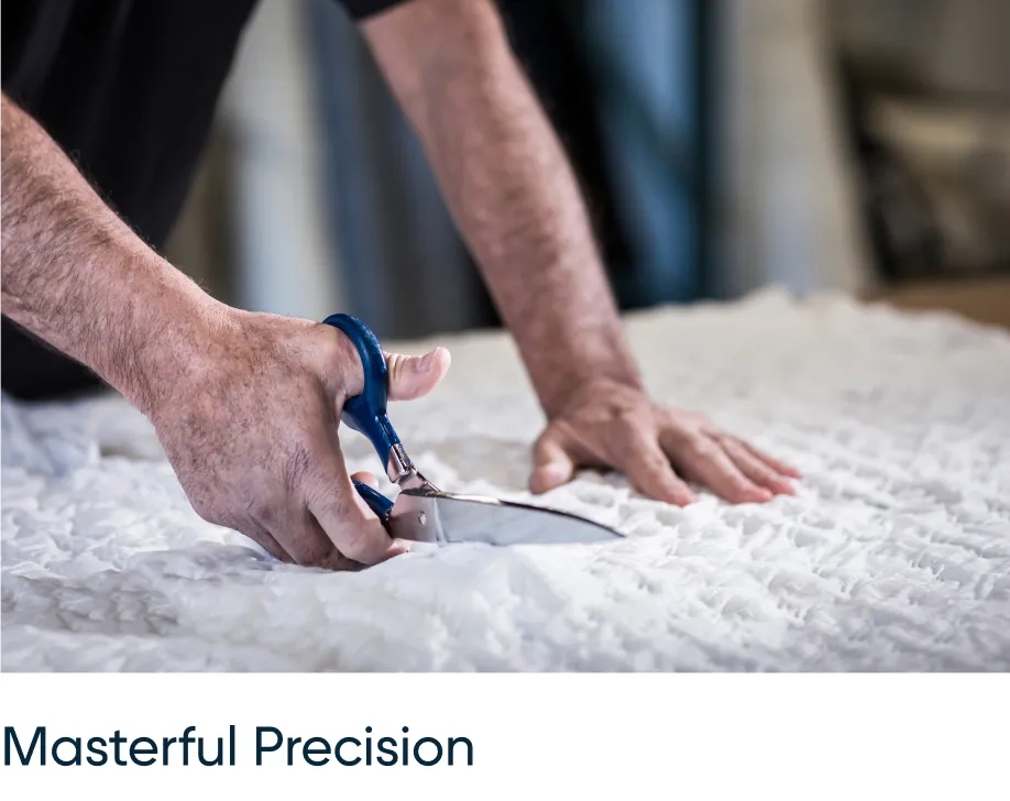 Masterful Precision.png