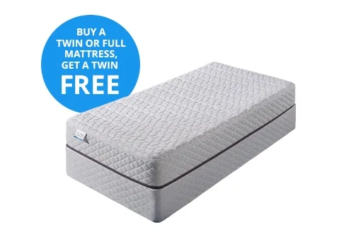 Buy one, Get Twin Mattress FREE