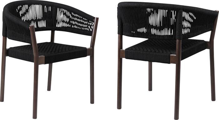Arlajen Black Outdoor Arm Chair, Set of 2