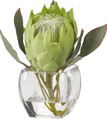 Brysan Green Queen Protea Silk Plant