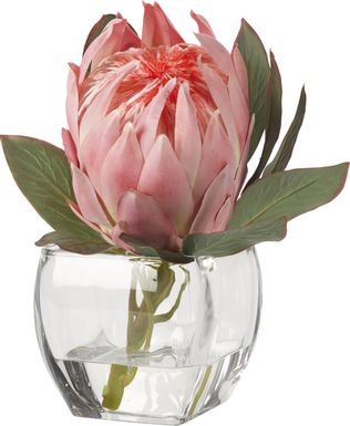 Brysan Pink Queen Protea Silk Plant