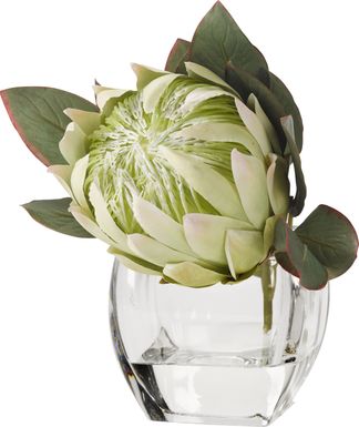 Brysan White Queen Protea Silk Plant