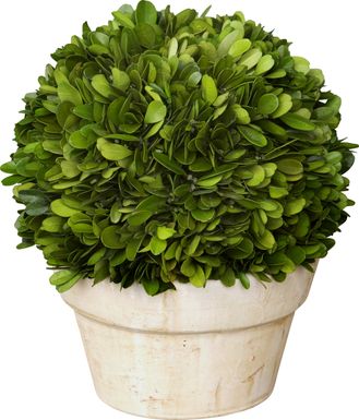 Charis Green Vase