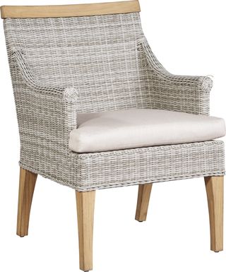 Cindy Crawford Home Hamptons Cove Gray Outdoor Arm Chair with Flax Cushion