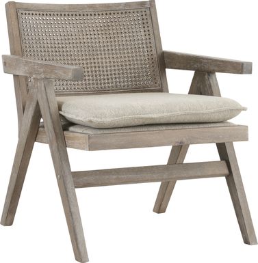 Cleanova Gray Accent Chair