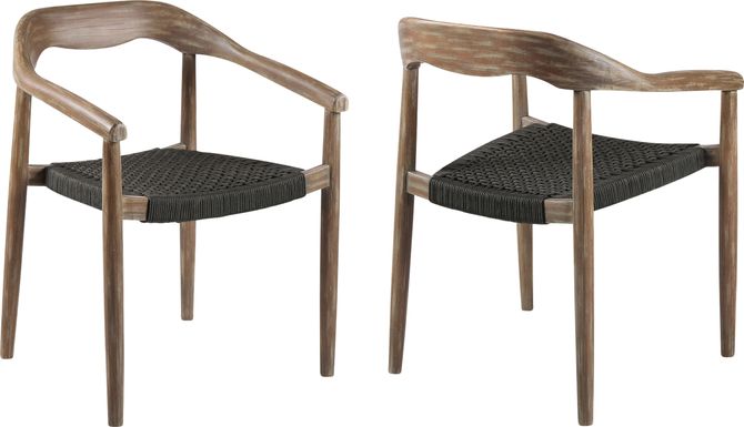 Clorelle Charcoal Outdoor Arm Chair, Set of 2