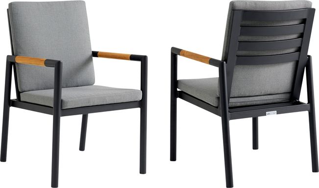 Corthean Dark Gray Outdoor Arm Chair, Set of 2