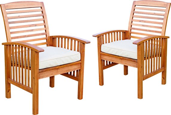Dunsmere Brown Outdoor Accent Chair, Set of 2