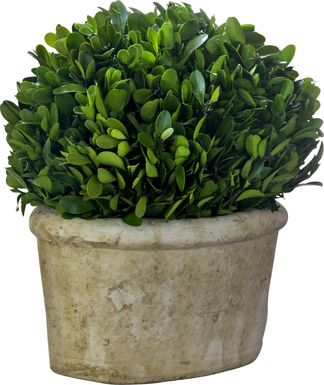 Forsythia Green Vase