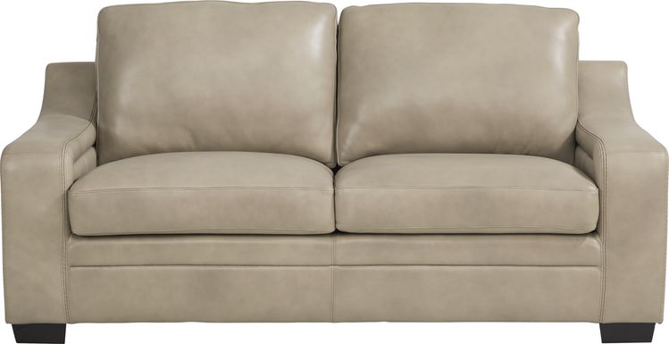 Loveseat Sleeper Sofas