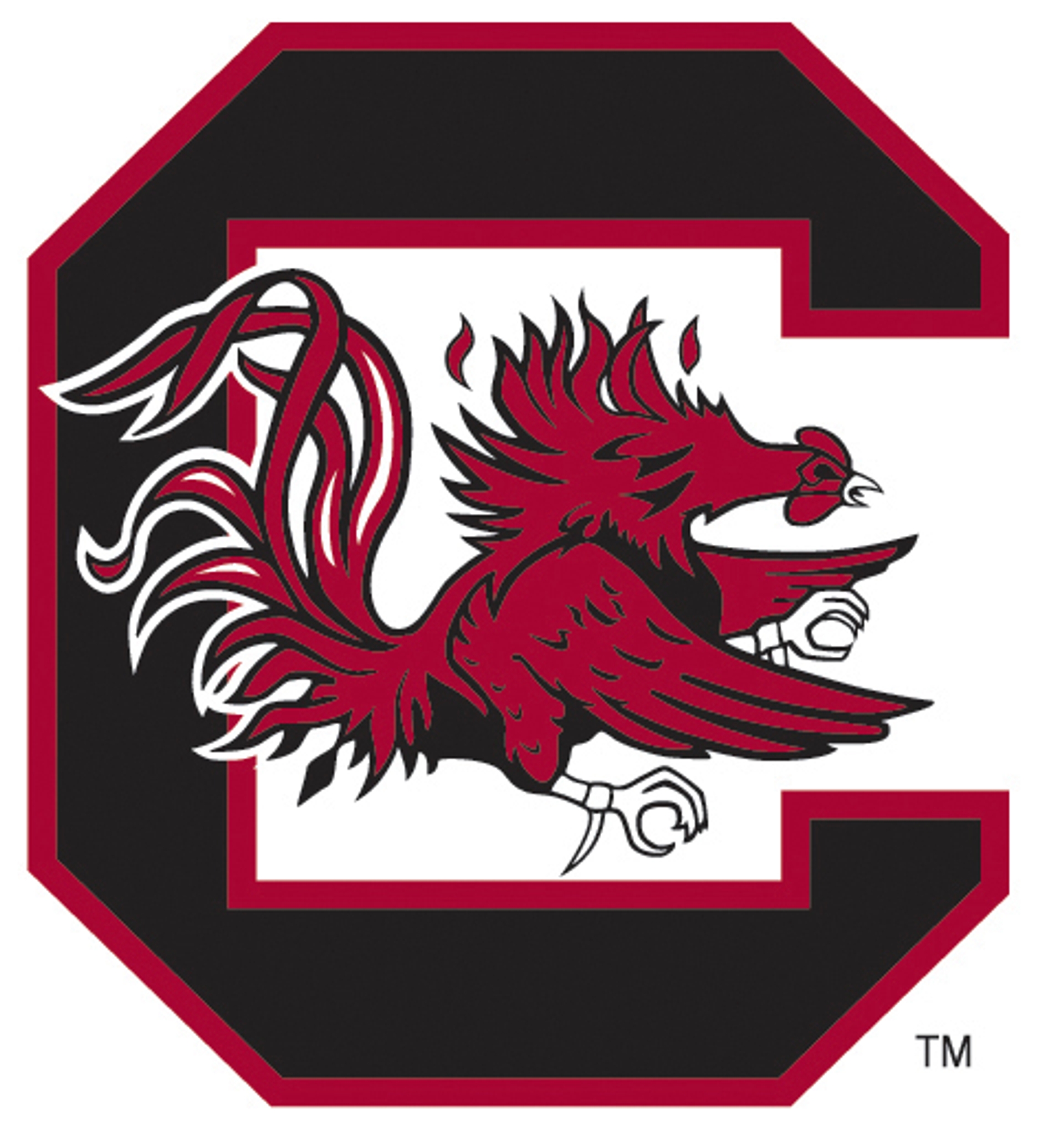 University Of South Carolina