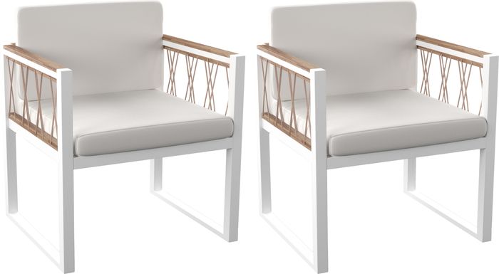 Outdoor Aldwell White Accent Chair, Set of 2