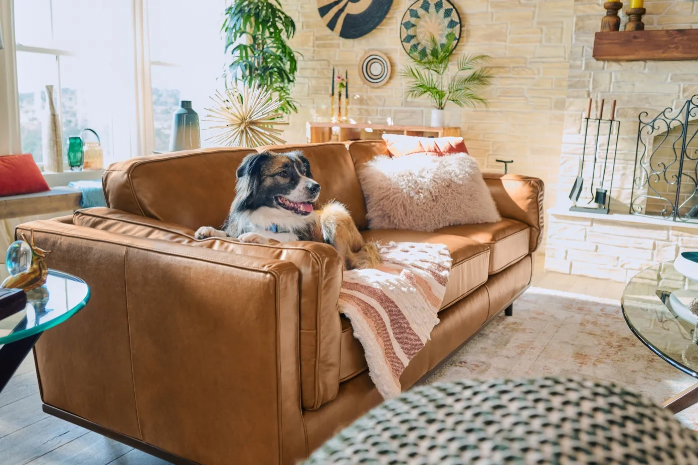 Best Pet-Friendly Sofa Materials