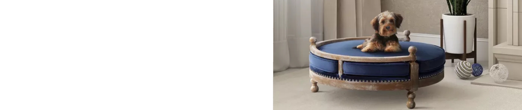 Pet Room Designing and Decorating