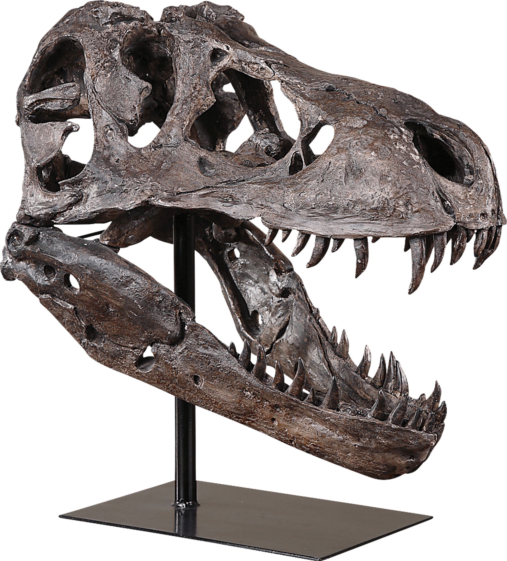 A Dinosaur's Past Gray Sculpture - Image 1