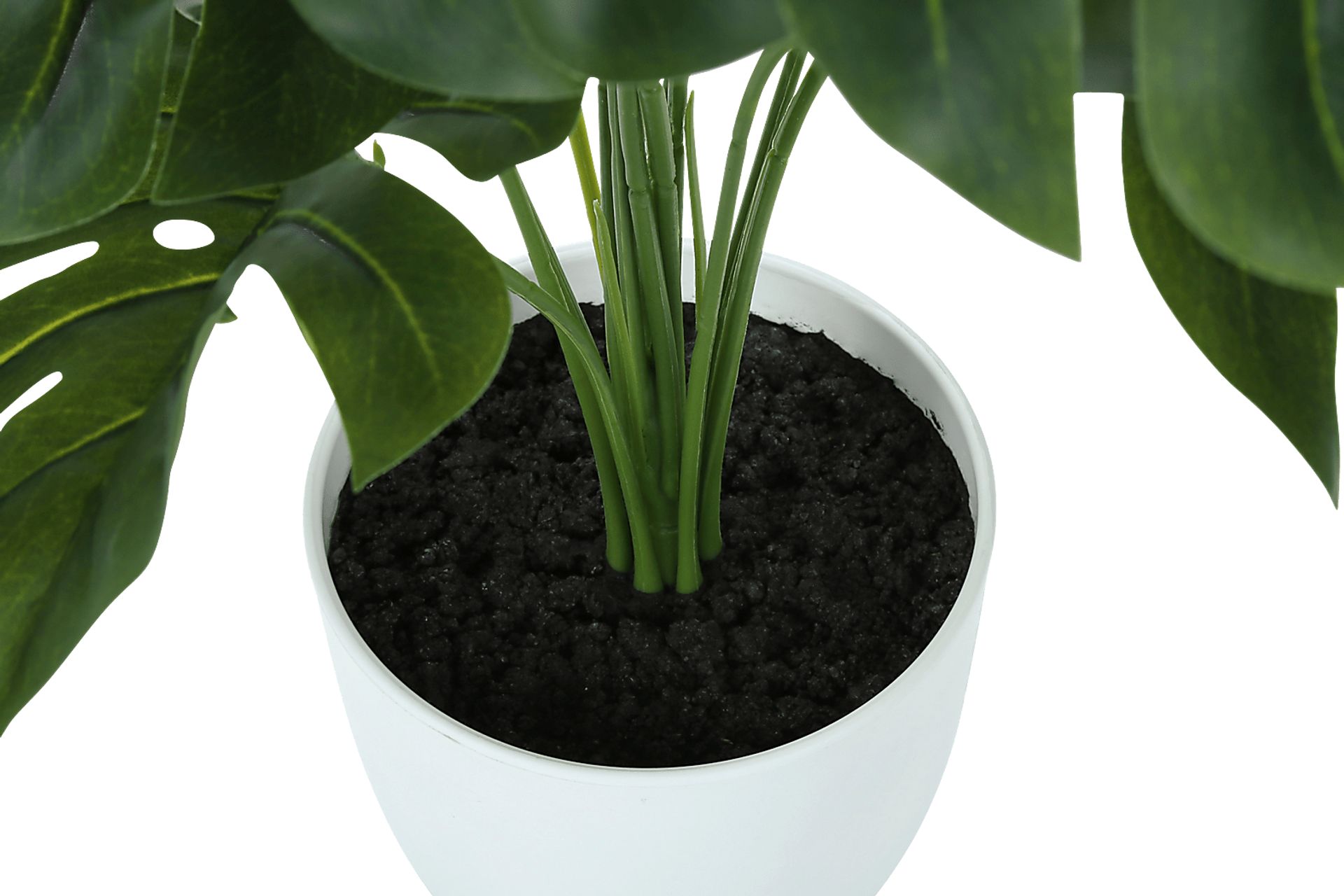 Aarav Green Silk Plant - Image 4