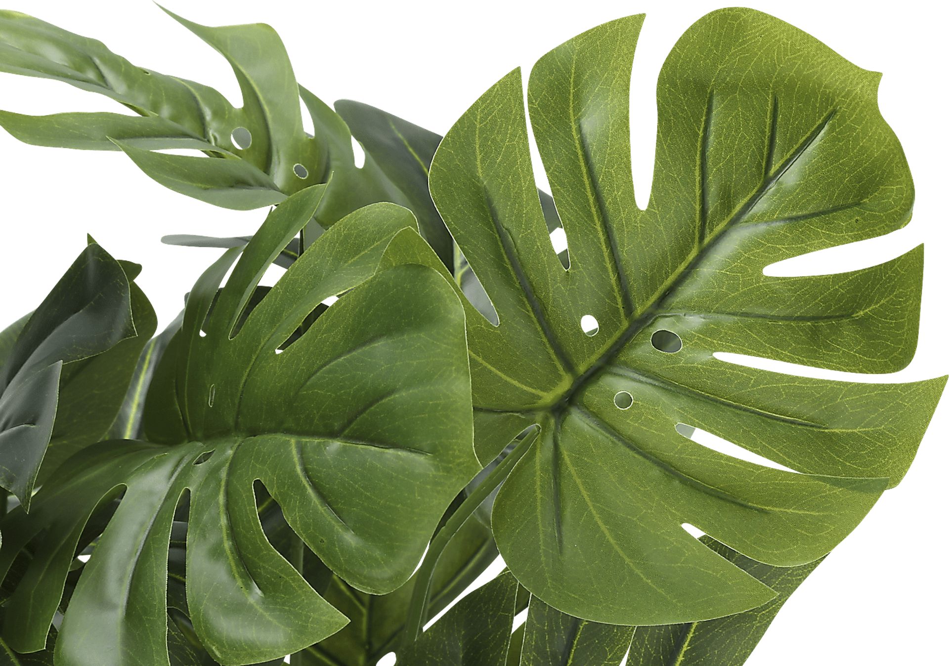 Aarav Green Silk Plant - Image 5