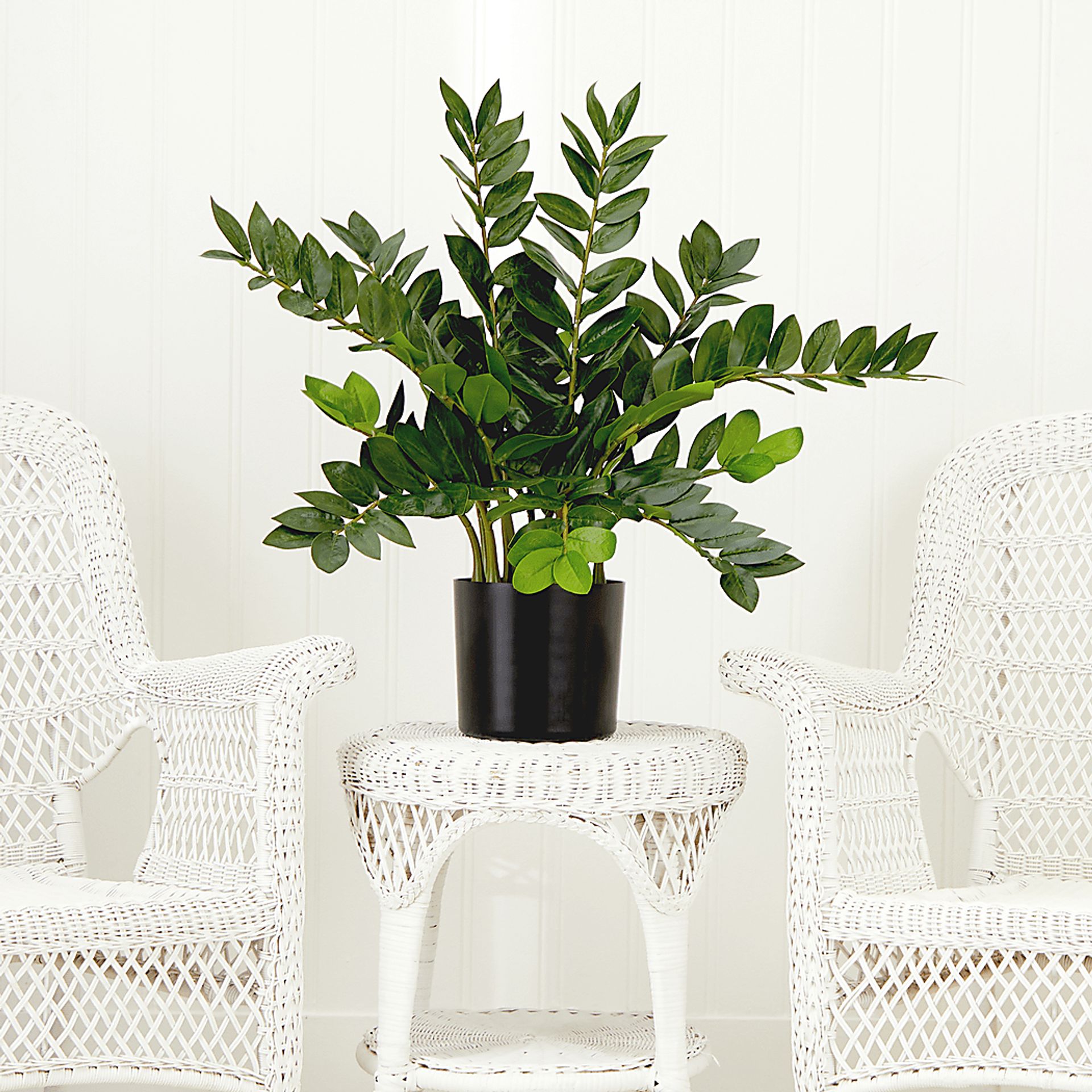 Abejorro Green Plant with Planter - Image 2