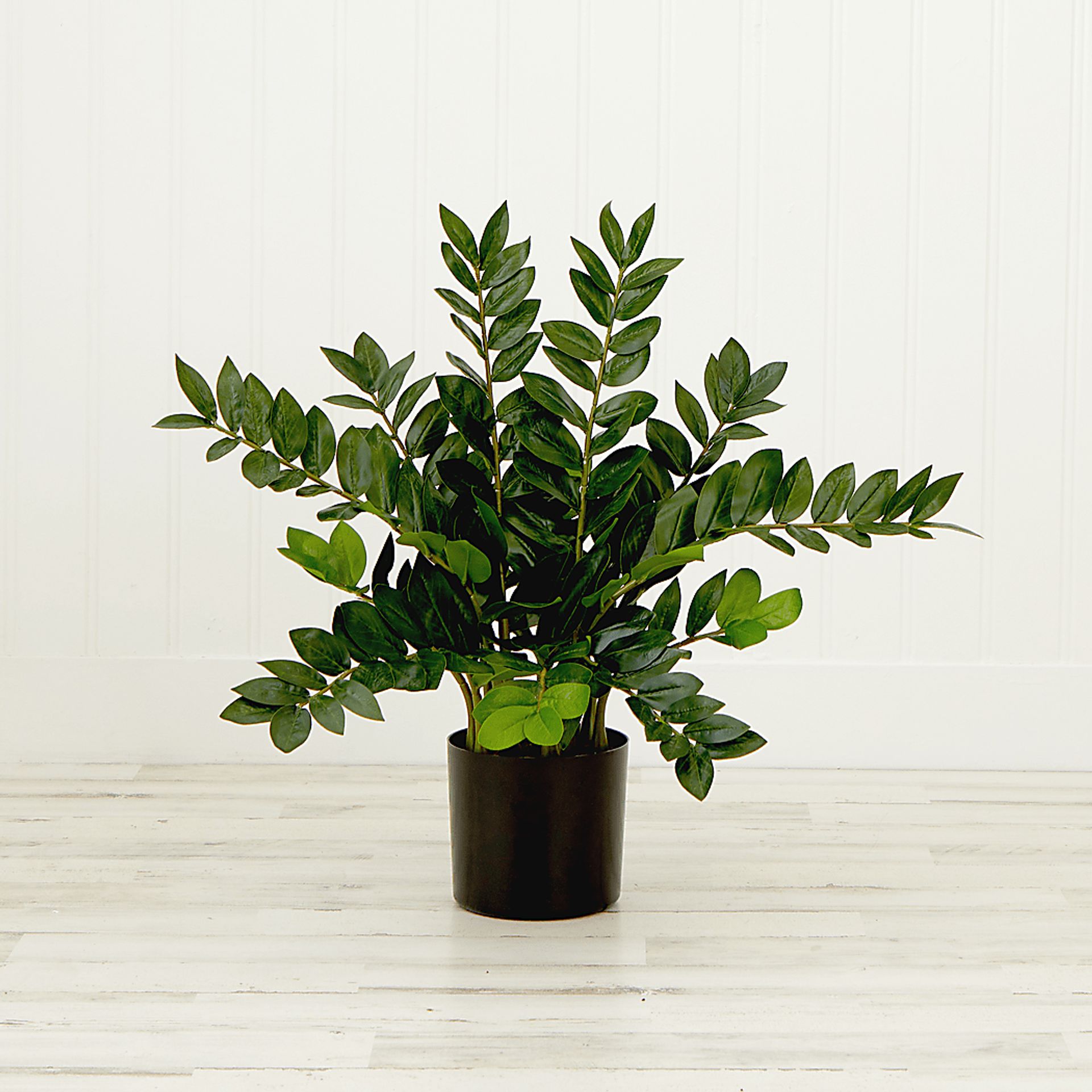Abejorro Green Plant with Planter - Image 4