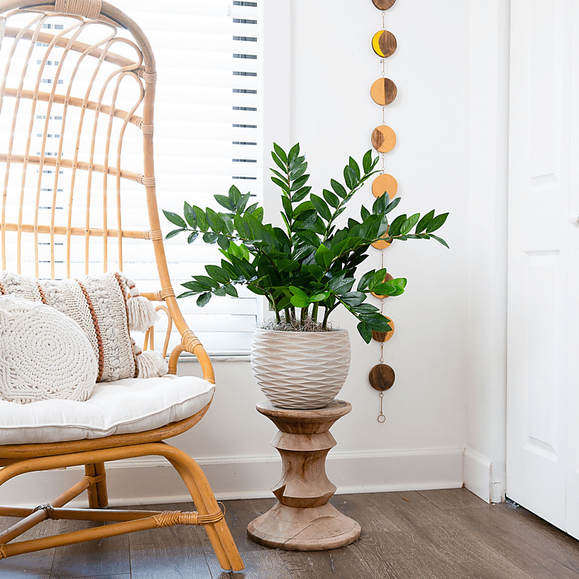 Abejorro Green Plant with Planter - Image 5