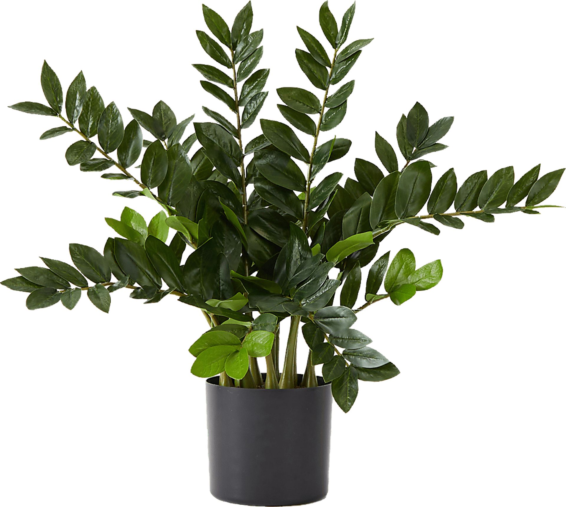 Abejorro Green Plant with Planter - Image 1