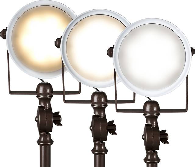 Abilene Court Brown Lamp - Thumbnail - Image 4