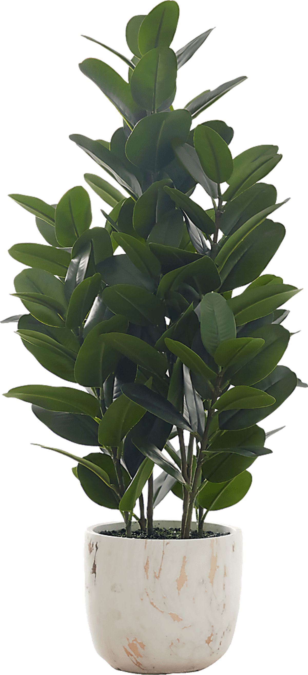 Achene Green Artificial Plant | Rooms to Go