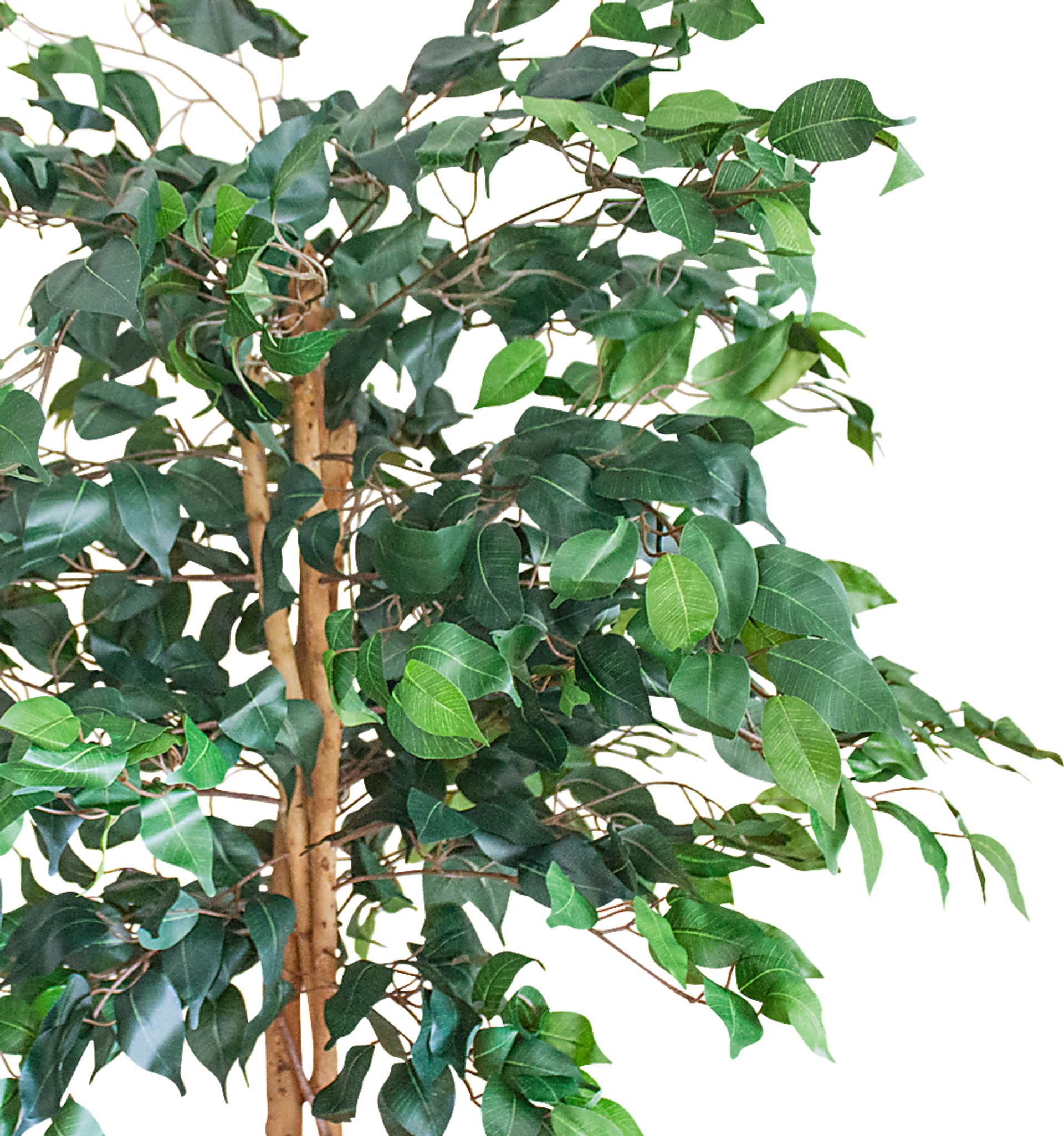 Adaliz Green Ficus Silk Tree - Image 2