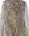 Addams Cove Brown Lamp