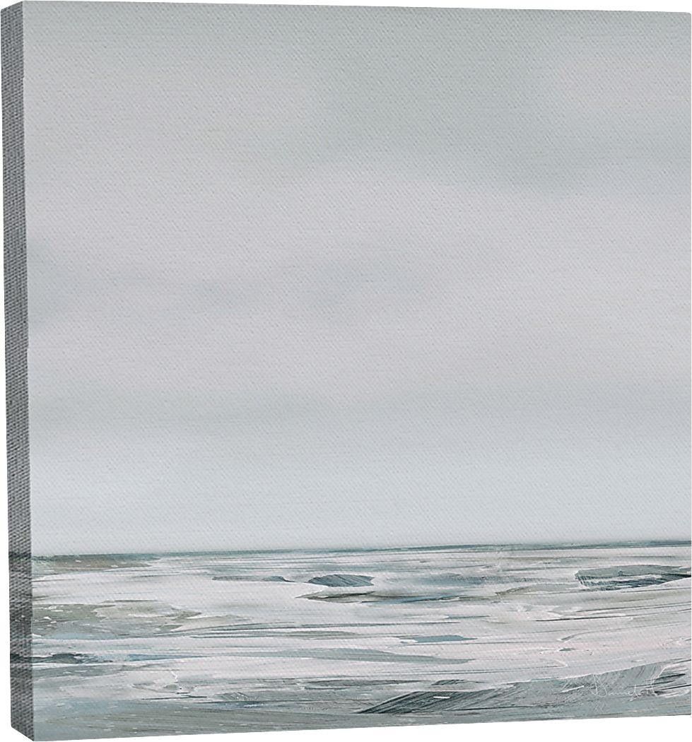 Ademetus Gray Canvas Wall Art