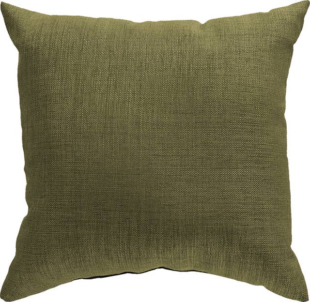 Adney Green Indoor/Outdoor Accent Pillow - Thumbnail - Image 1