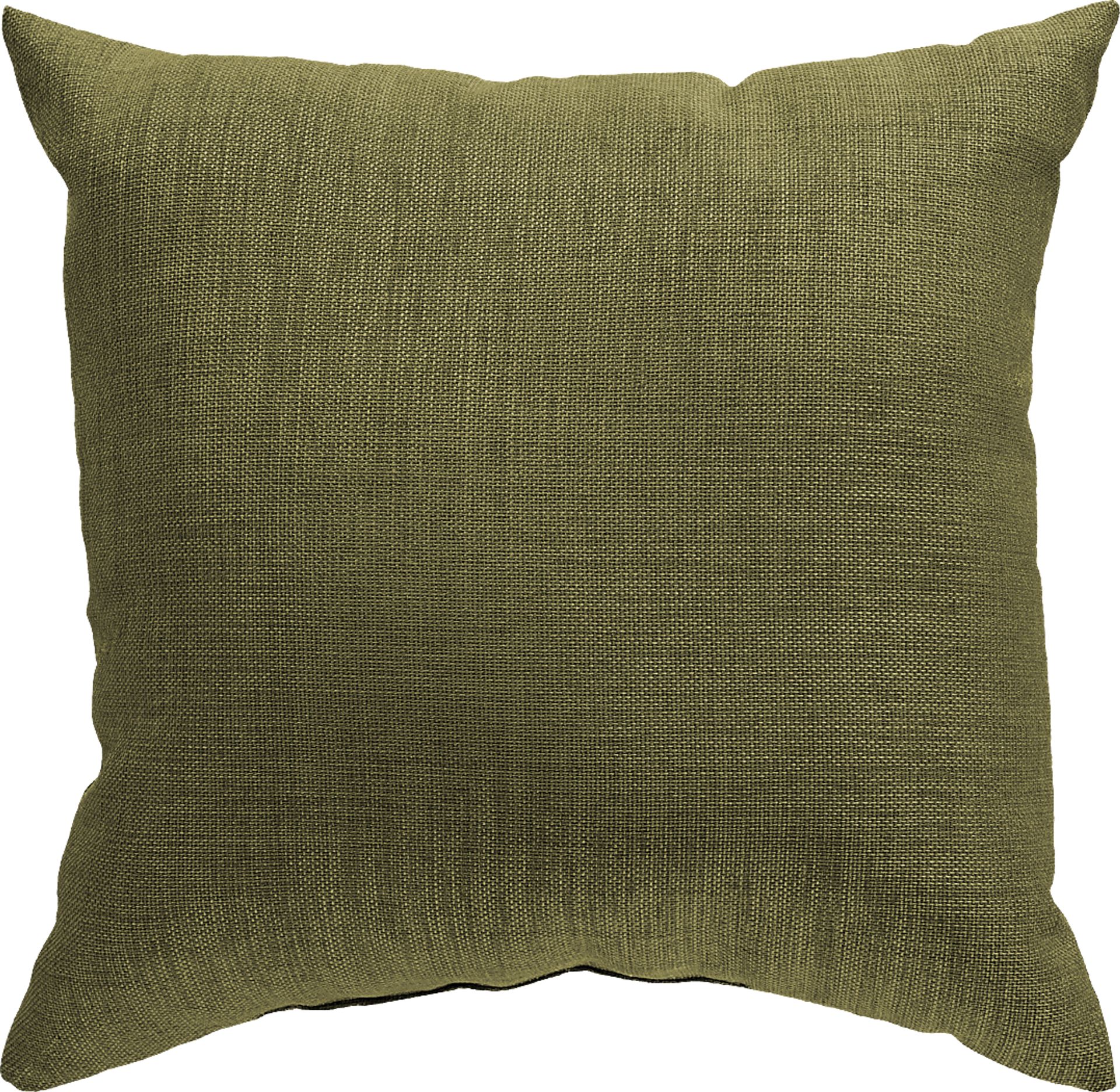 Adney Green Indoor/Outdoor Accent Pillow - Image 1