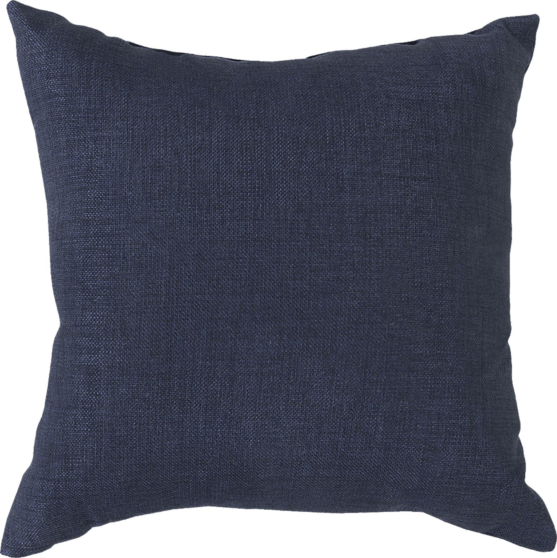 Adney Navy Indoor/Outdoor Accent Pillow - Image 1