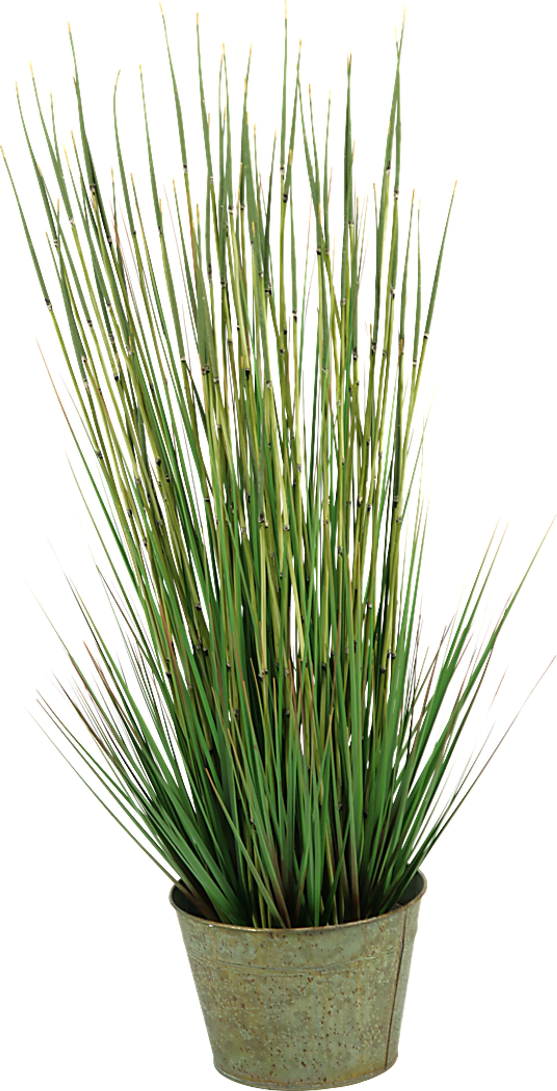 Aelyn Green Onion Grass Large Silk Plant - Image 1