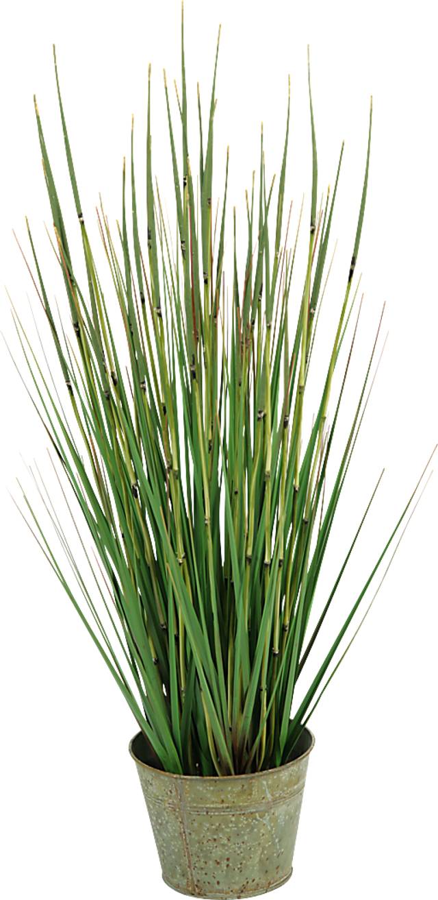 Aelyn Green Onion Grass Small Silk Plant - Thumbnail - Image 1