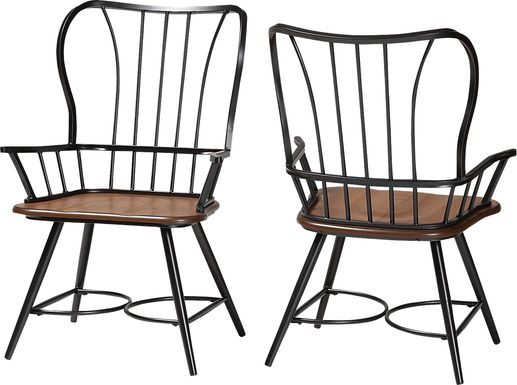Agavei Brown Arm Chair, Set of 2