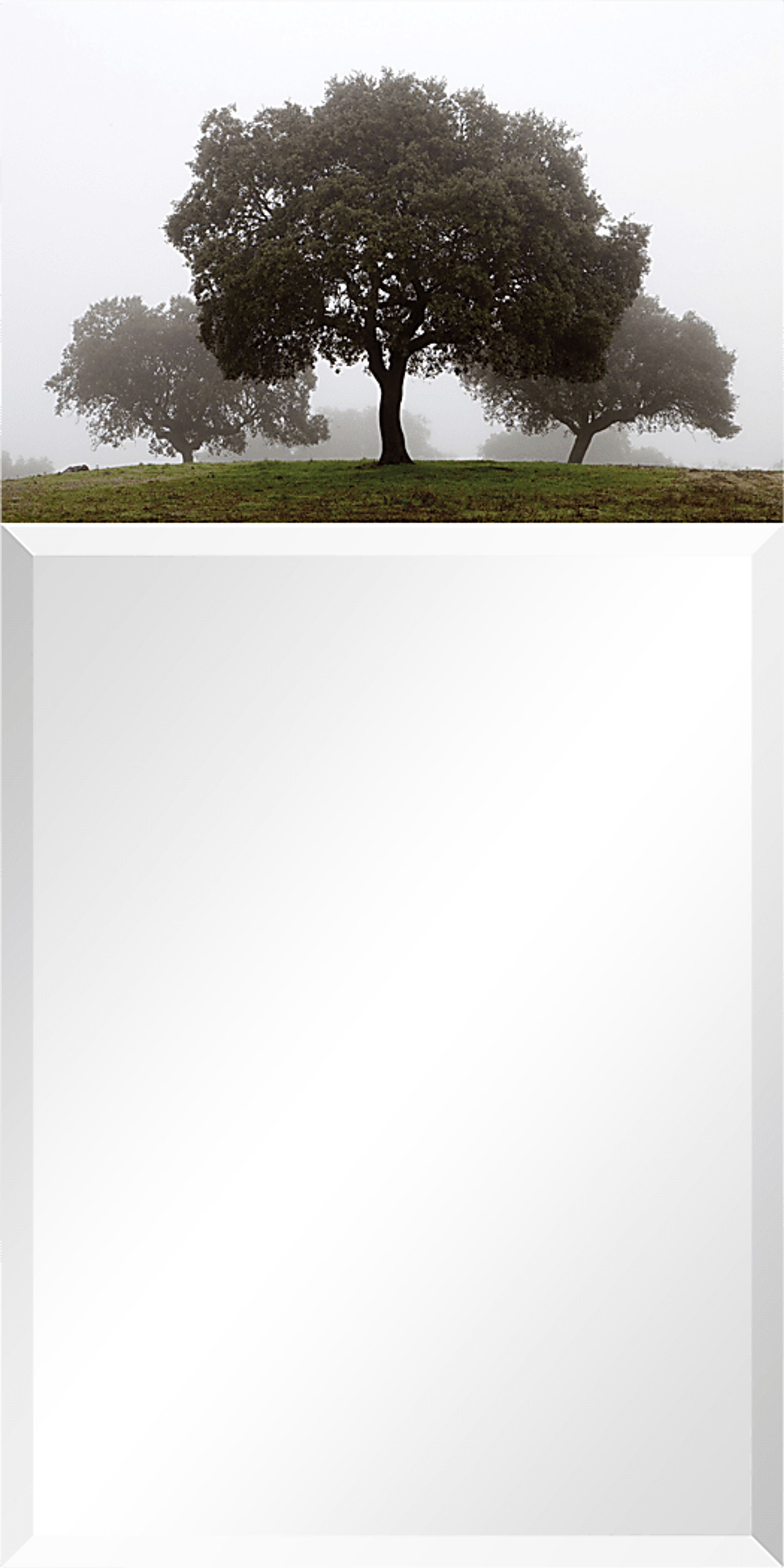 Airie's Forest Gray Mirror - Image 1