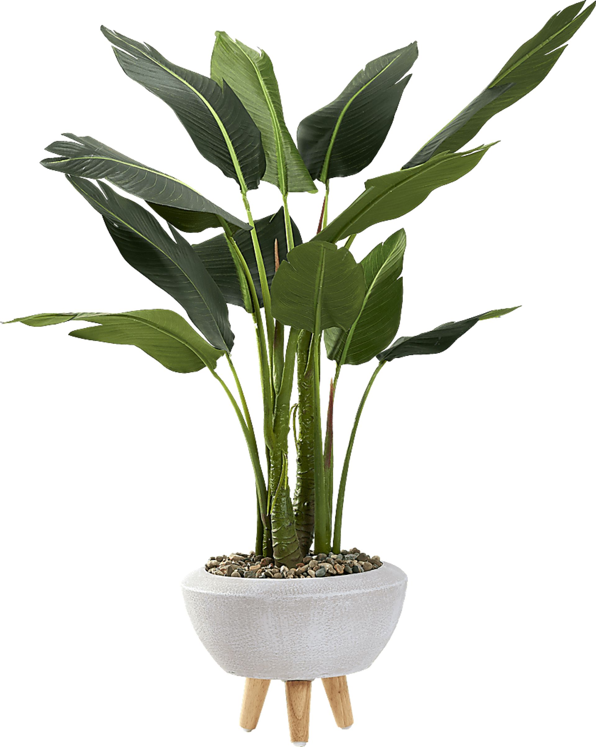 Akeby White Silk Plant - Image 1