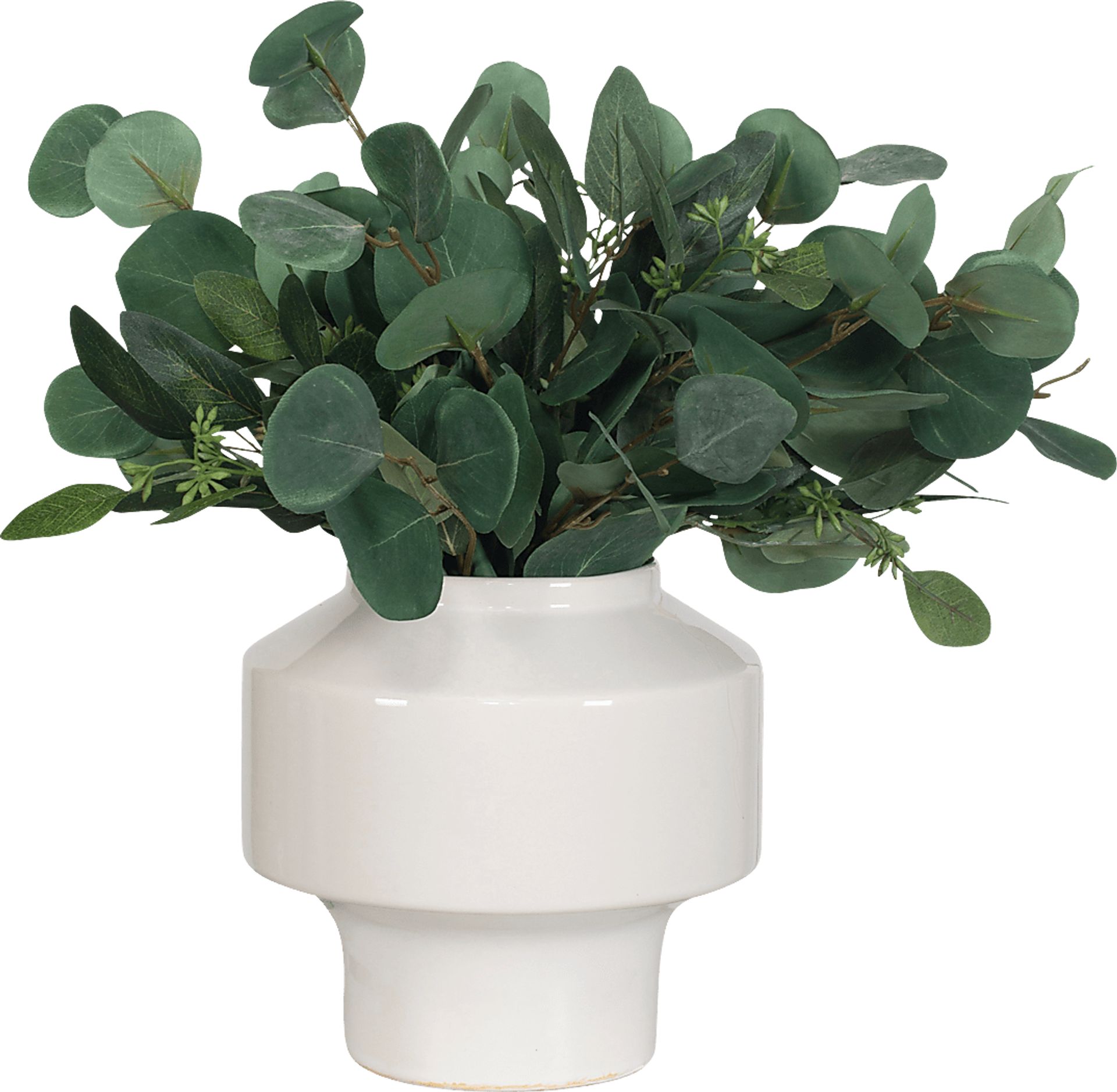 Akechi White Silk Plant - Image 5