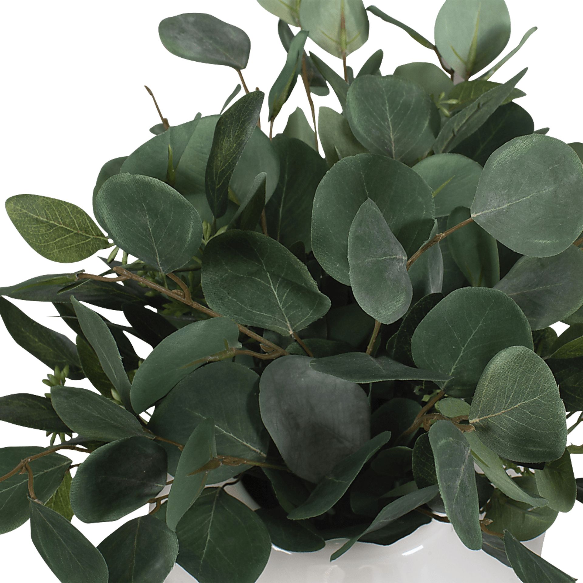 Akechi White Silk Plant - Image 6