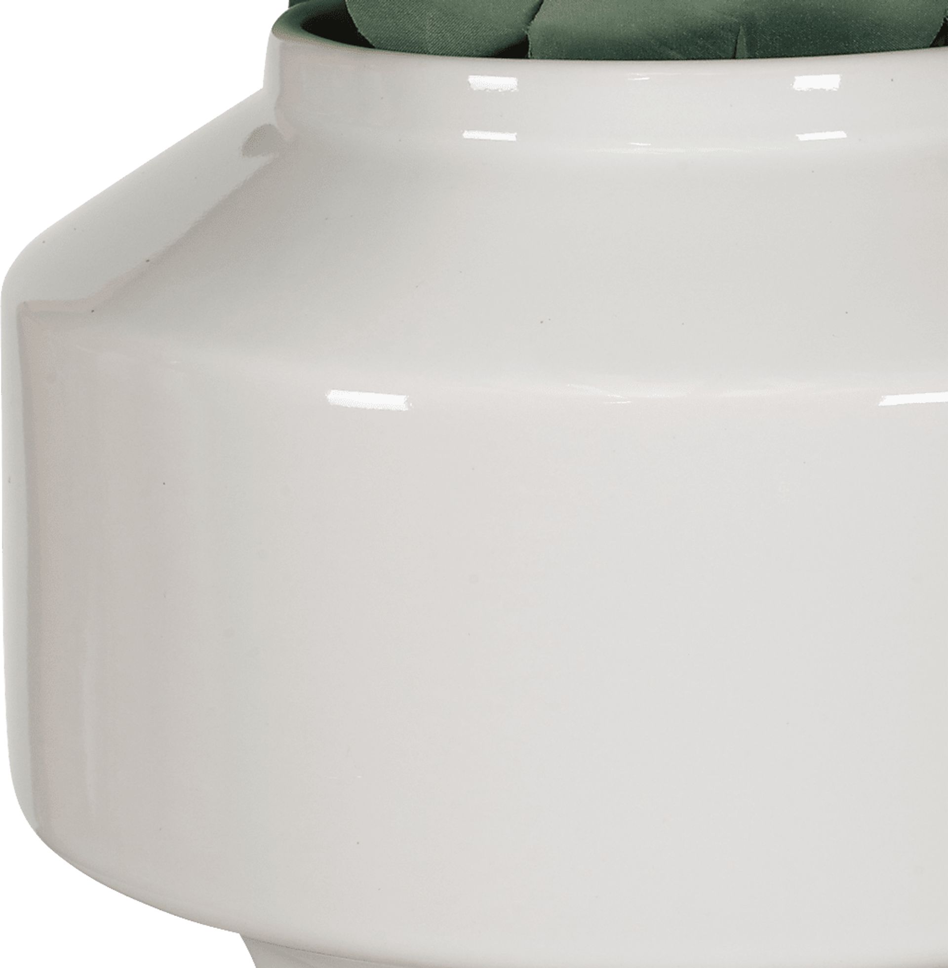 Akechi White Silk Plant - Image 7