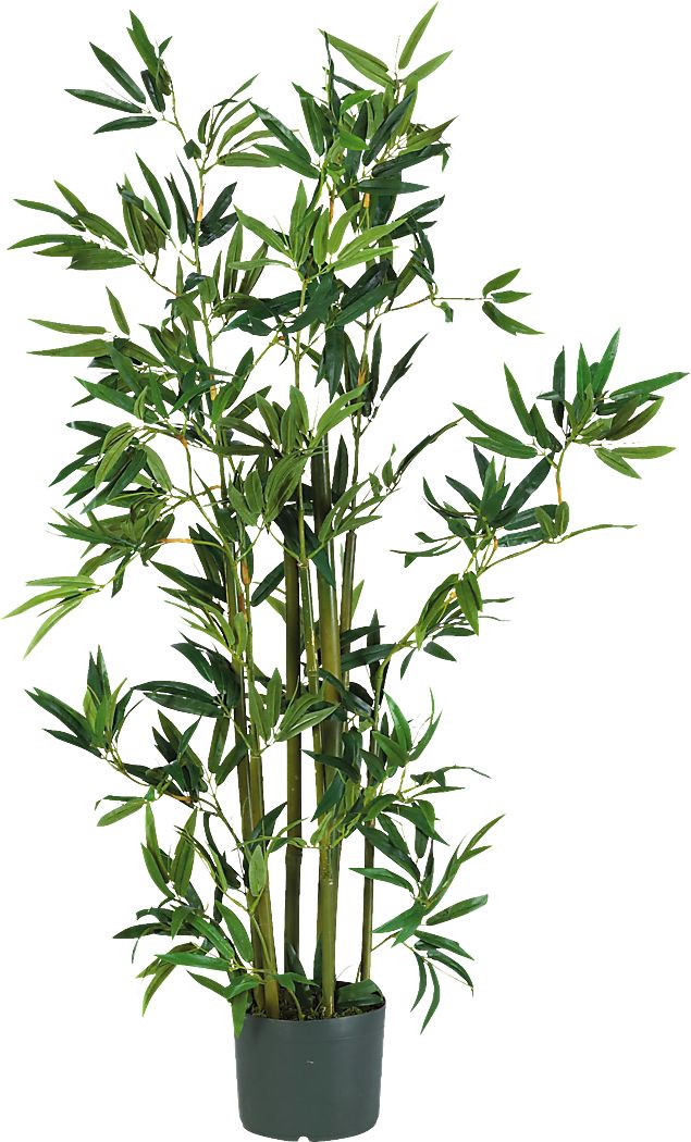 Akira Green Bamboo Silk Tree