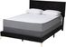 Alachua Black Queen Bed