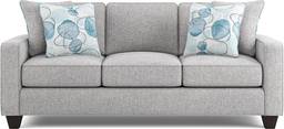 sleeper sofa