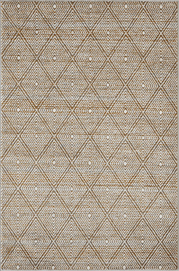 Alburnt Beige 5'3 x 7'3 Area Rug
