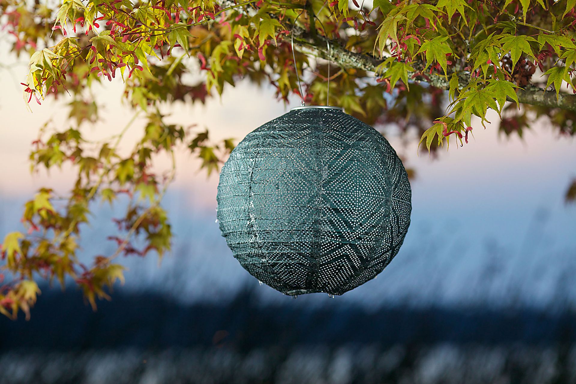 Aliana Ink Outdoor Solar Lantern - Image 6