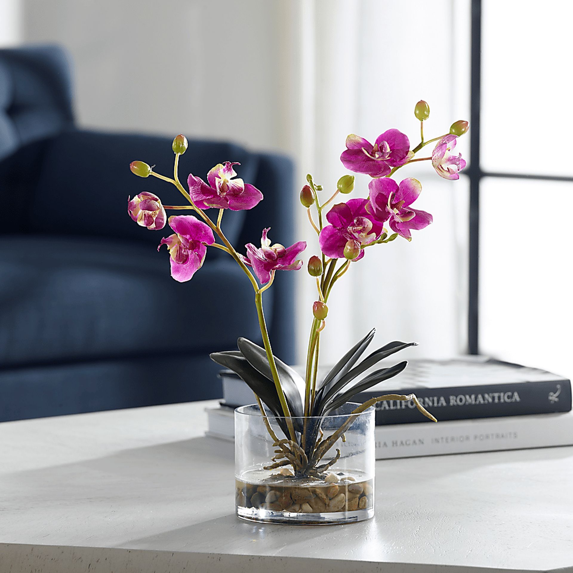 Alie Pink Plant - Image 2