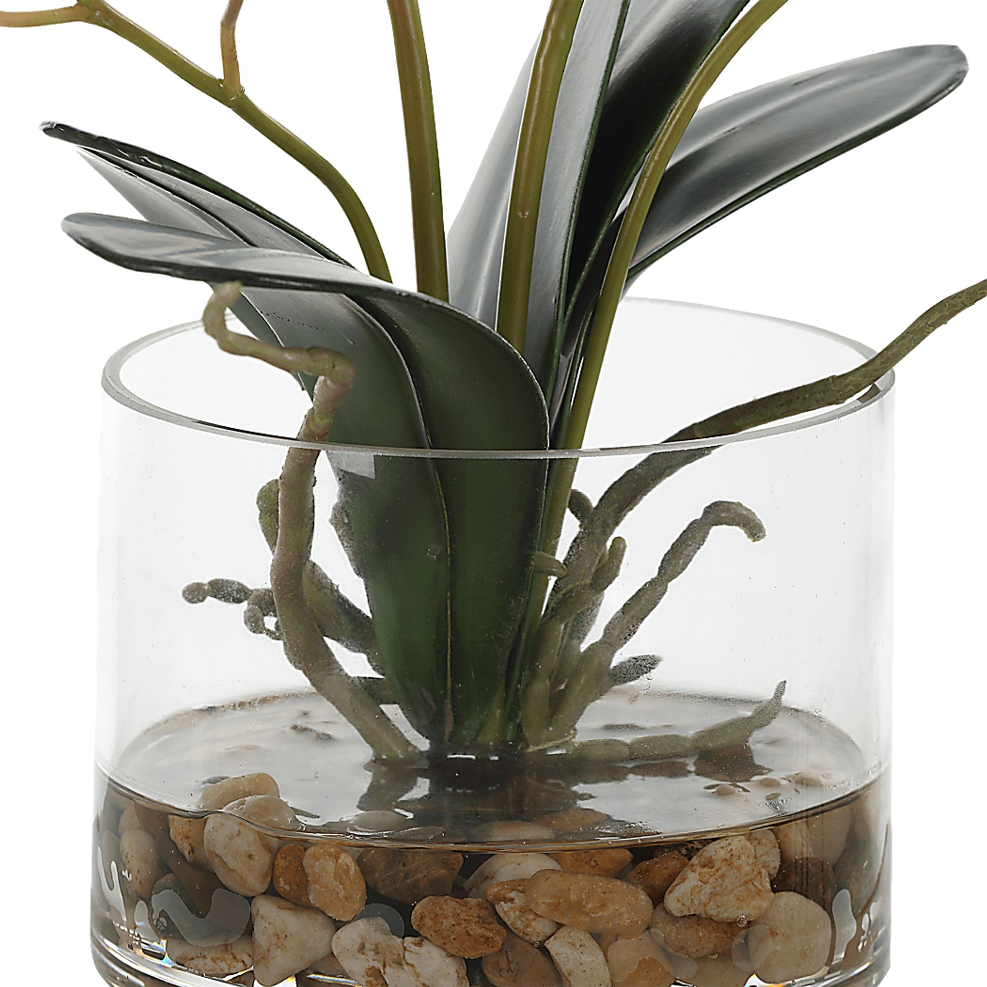Alie Pink Plant - Image 4