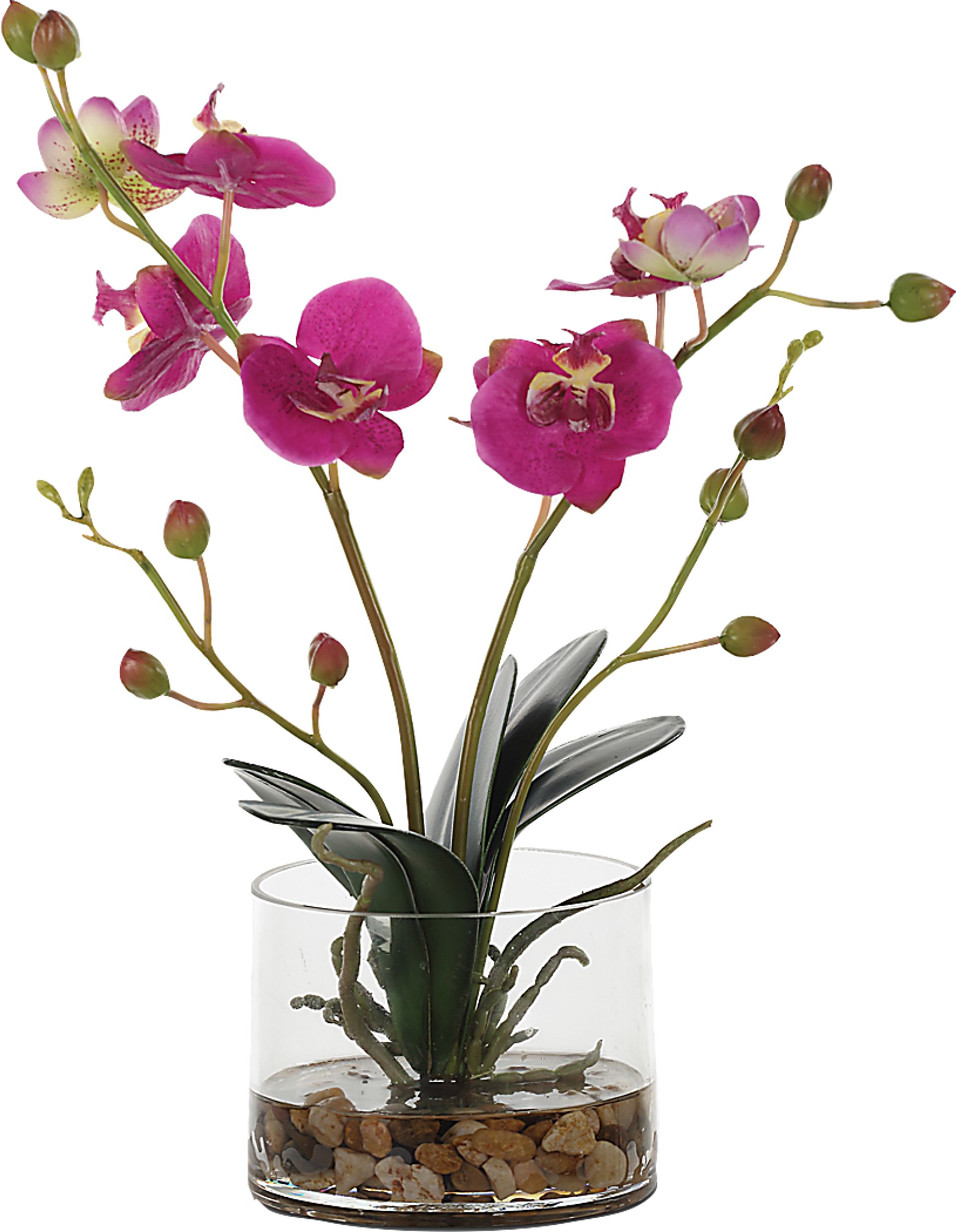 Alie Pink Plant - Image 6